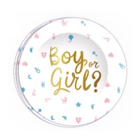 Pratos de Boy or Girl? de 23 cm - 6 unidades