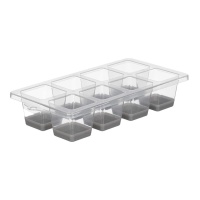 Cubeta para 8 cubos grandes transparente