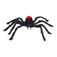 Aranha peluda preta de dorso vermelho com 60 cm