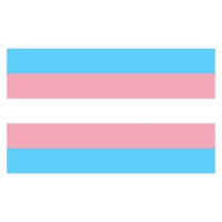 Bandeira transexual 0,90 x 1,50 m