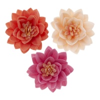 Bolachas flor de lótus em 3 cores 7 cm - Dekora - 15 unidades