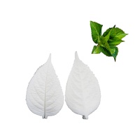 Molde de silicone para texturização de folhas de hortênsia 6 x 3,5 cm - Pastkolor