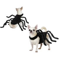 Fato de aranha para cães