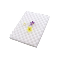 Almofada de esponja para secar flores - Sweetkolor