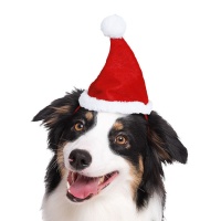 Chapéu de Pai Natal para animais de estimação