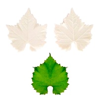 Molde de silicone para texturização de folhas de videira 10 cm - Pastkolor