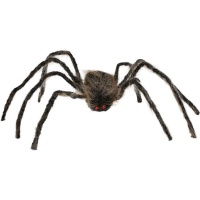 Aranha castanha de patas compridas 75 cm