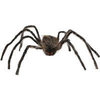 Aranha castanha de pernas compridas 75 cm