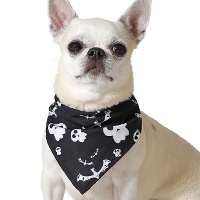 Lenço de Halloween com caveiras para pets