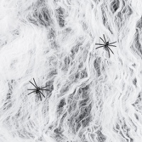 Teia de aranha branca com duas aranhas negras de 200 gr