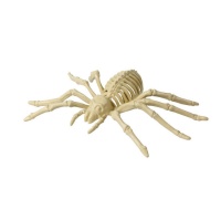 Esqueleto de aranha de 24 x 12 cm