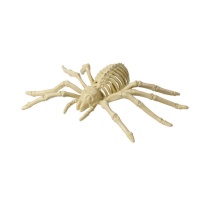 Esqueleto de aranha 24 x 12 cm