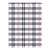 Papel cartão com quadrados e linhas cor-de-rosa e azuis 32 x 43,5 cm - Artis decor - 5 peças
