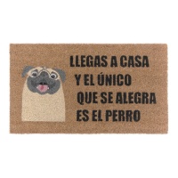 Tapete de entrada Chega a casa e o único que está feliz é o cão.