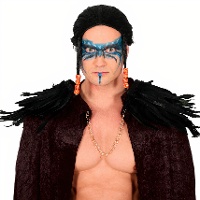 Ombreiras de penas - 2 unidades