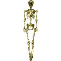 Esqueleto metálico de 90 cm - 1 peça