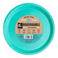 Pratos de cartão coloridos de 20,5 cm - 10 unidades