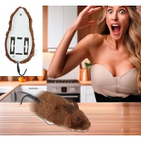 Rato realista de corda para brincadeiras